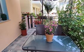 Napier Apartment